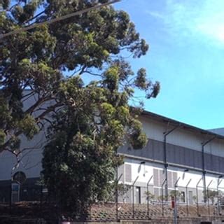 tcm north ryde